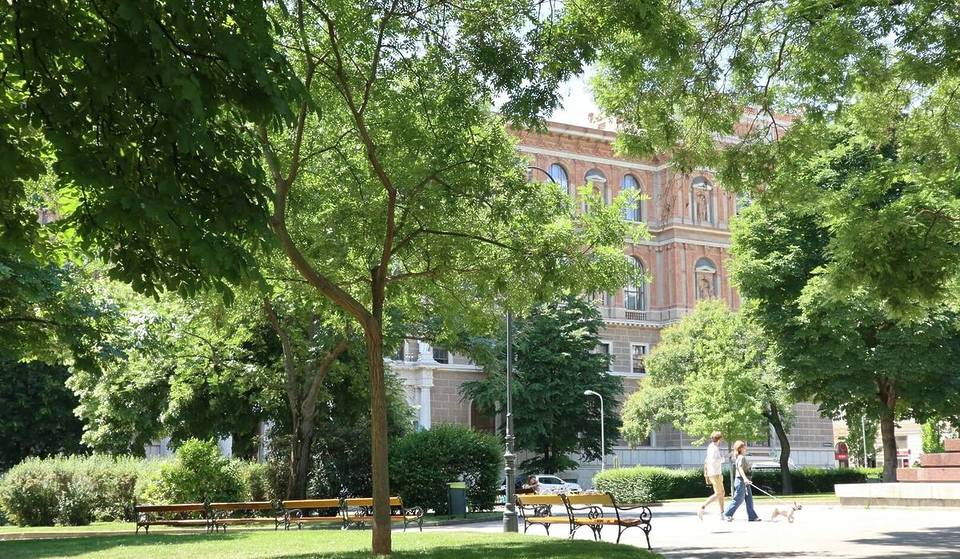 Die 5 grünsten Parks in Wien für die perfekte Entspannung