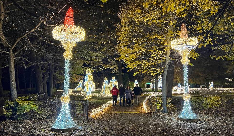 So habt ihr Wiens beliebteste Sehenswürdigkeit noch nie erlebt: Schlosspark Schönbrunn erstrahlt in einer magischen Lichterlandschaft, die weltweit einmalig ist