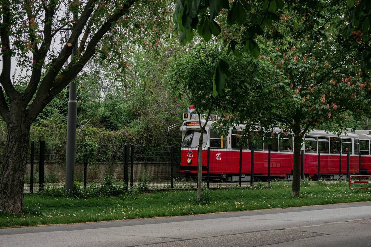 wiener tram fährt an begrünung vorbei