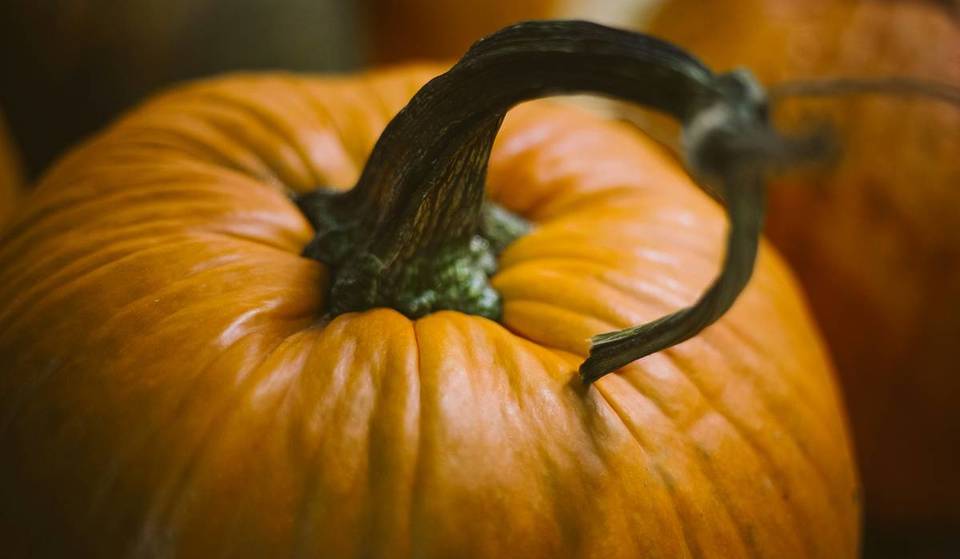 3 autumnal pumpkin festivals in Vienna that you must visit in October
