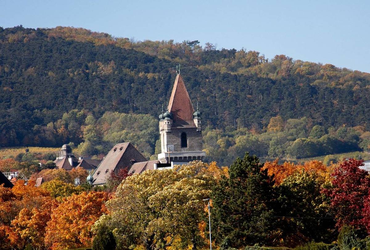 blick auf den wehtrum von perchtoldsdorf aus den weinbergen