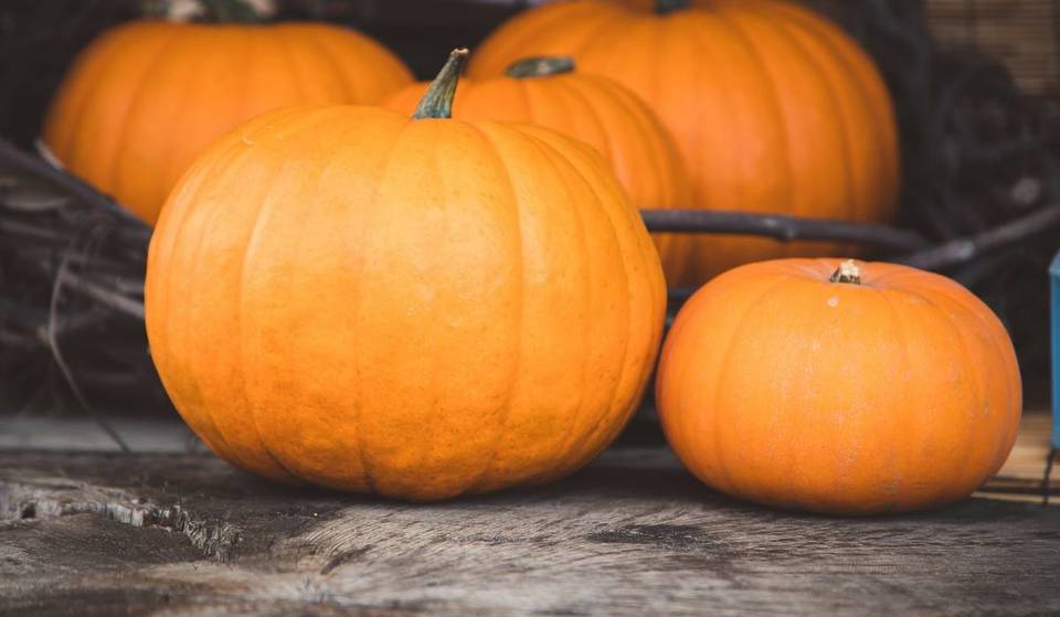 4 pumpkin farms around Vienna for fun fall outings with the family