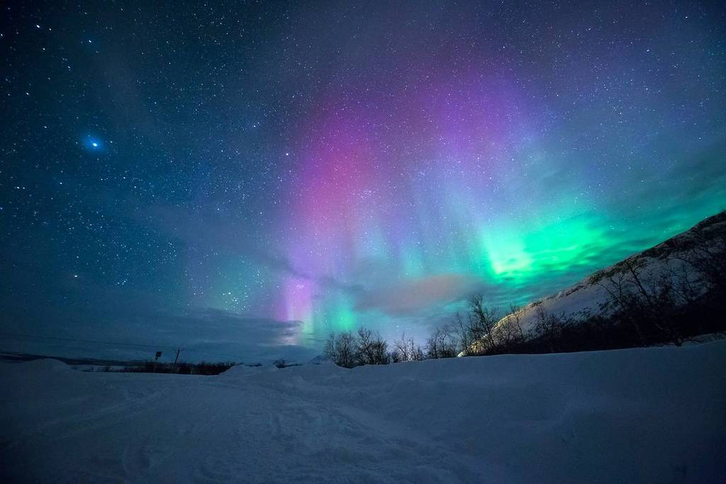 polar lights in the sky