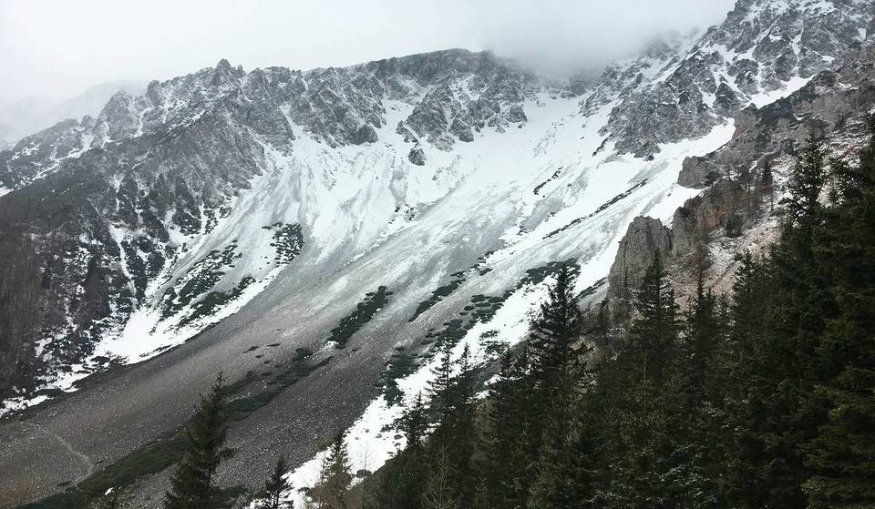Nur 75 Minuten von begebt ihr euch auf einen alpinen Tagesausflug zum winterlichen Schneeberg