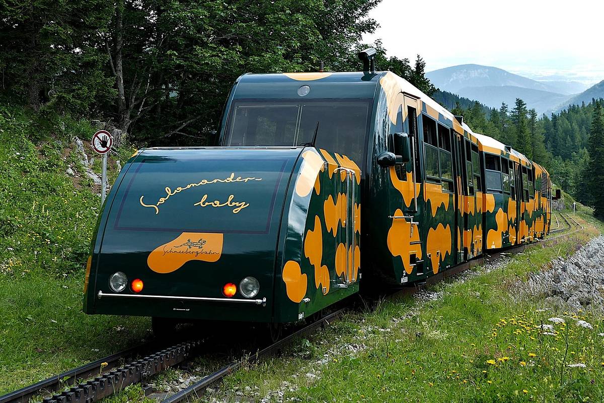 salamander schneebergbahn auf dem schneeberg