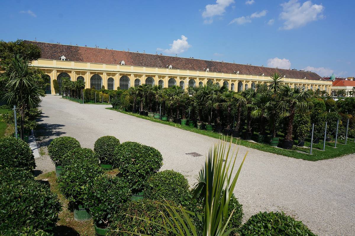Außenansicht der Orangerie des Schloss Schönbrunn in Wien, grüner Garten mit diversen Pflanzen vor dem Gebäude