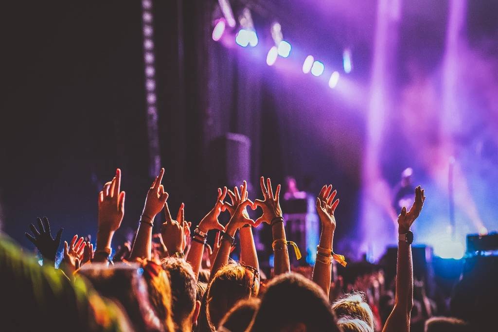 leute auf einem konzert