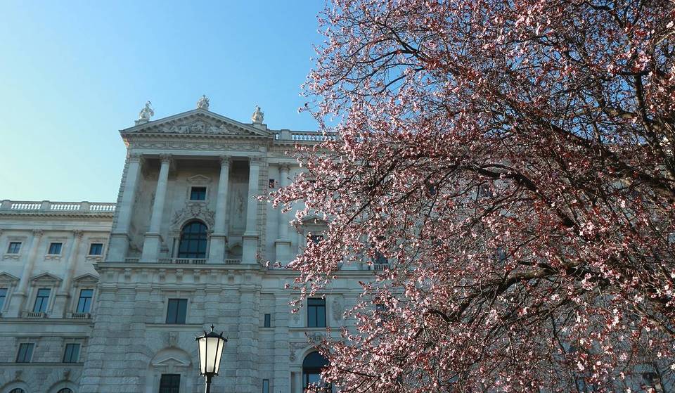 Der Wiener Frühling: Diese Events erwarten euch im April