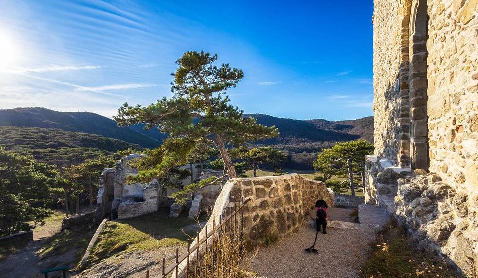 Nur 30 Minuten von Wien ist die Ruine der größten Burganlage Österreichs, wo 1177 die Babenberger lebten: Erfahre mehr über das tolle Wanderziel