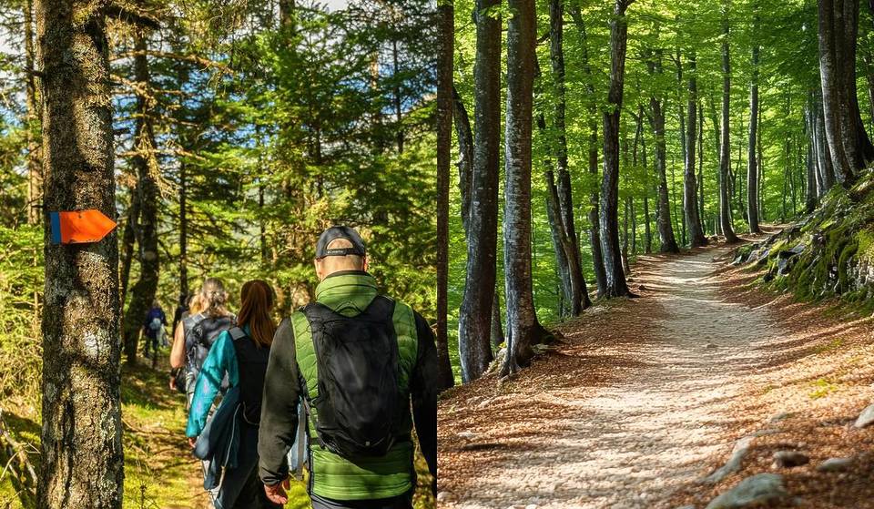 Massive damage after flooding in the Vienna Woods: Why entering the hiking trails at Hagenbachklamm is currently life-threatening—and which route is safe