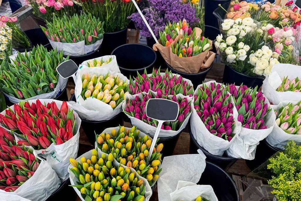 Tulips