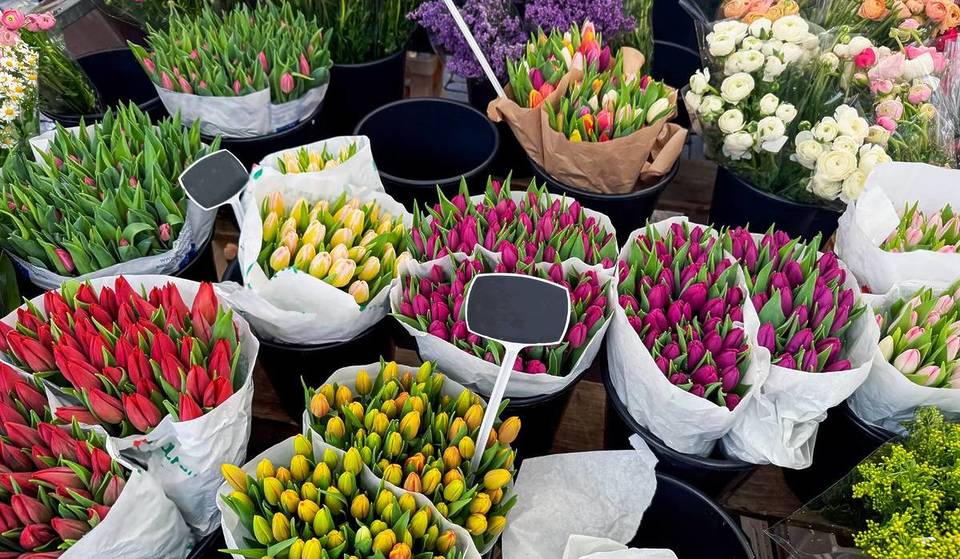 Just in time for spring in Vienna: Find out why this idyllic flower market is the perfect spot for fresh herbs and rare plants