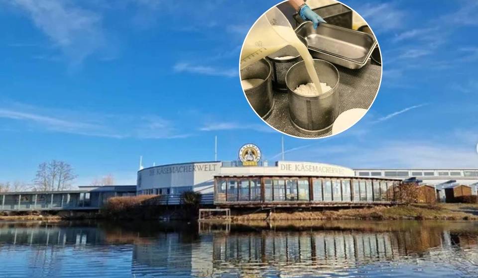 Nur 2 Stunden von Wien entfernt, könnt ihr einen Blick hinter die Kulissen der größten Käse-Manufaktur im Waldviertel werfen und selbst probieren.