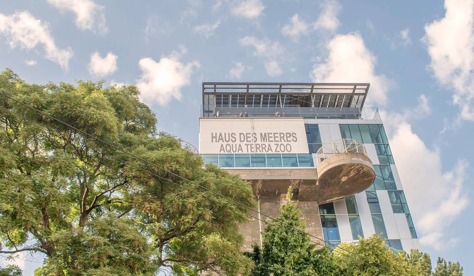 Right in the heart of Vienna, housed in a former World War II anti-aircraft tower, lies the world’s most unusual zoo architecture.