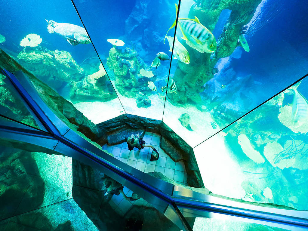 Aquarium im Haus des Meeres in Wien