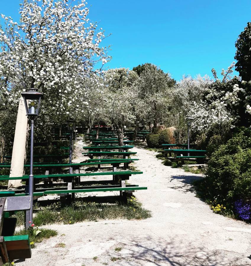The garden at Weinhof Zimmermann