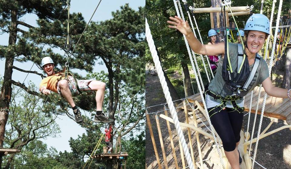 17 climbing routes in the middle of the forest in 1190 Vienna: Climb to a height of 20 meters in Vienna’s largest outdoor adventure