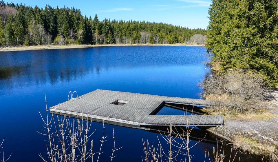 12,000 years old and the highest forest raised bog in Austria near Vienna: Visit this unique natural gem in the Mühlviertel and discover bodies of water dating back to the last Ice Age
