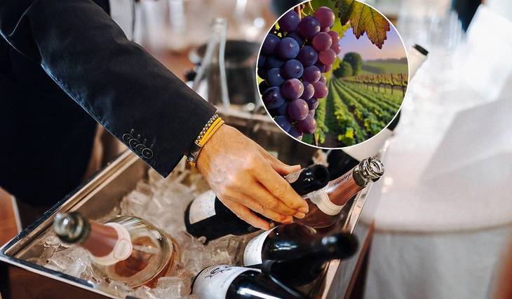 Austria’s largest wine fair in Vienna this weekend: Discover over 500 of the best winemakers in an imperial setting at this event, which takes place only every two years