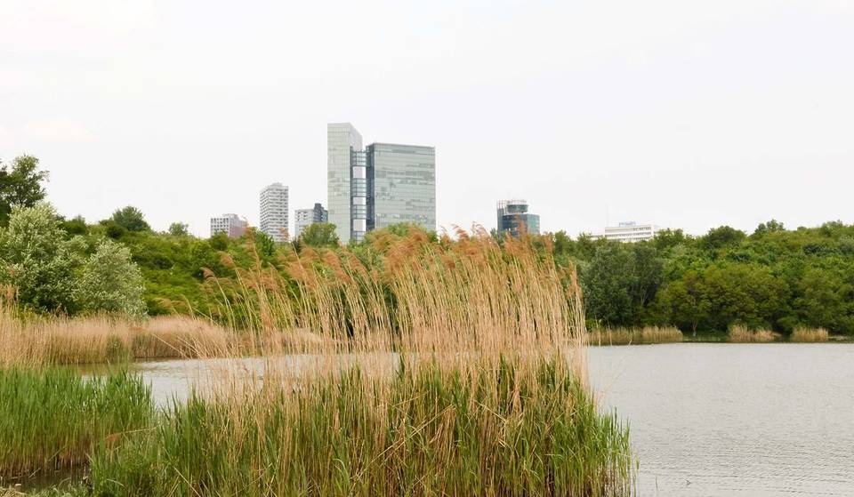 Since the 1980s, a biotope spanning approximately 120 hectares has stretched across the heart of Vienna, serving as a significant natural paradise with its rare flora and fauna