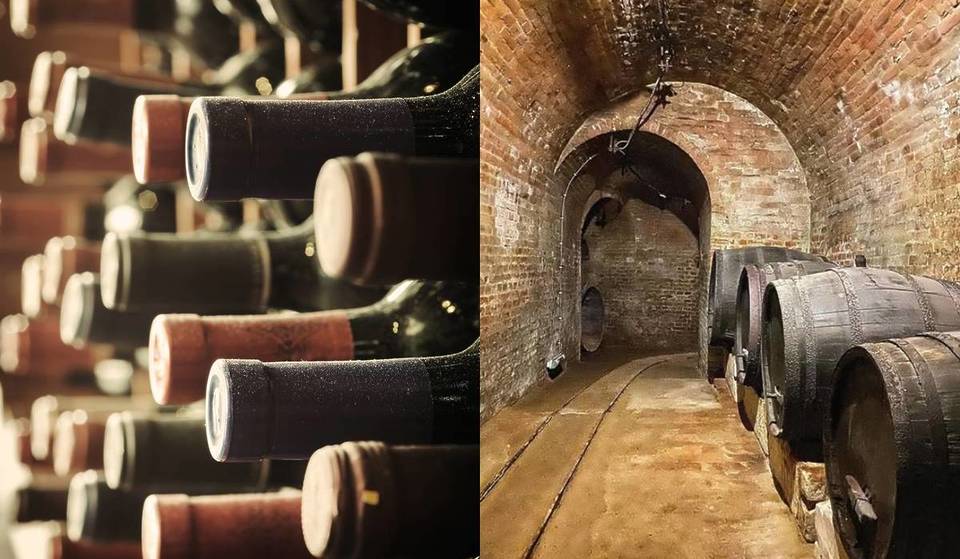 Nur 1 Stunde von Wien: Entdecke das gigantische, jahrhundertealte Höhlensystem tief unter der Erde mit dem größten historischen Weinkeller Österreichs