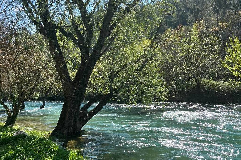 Just 30 minutes from Vienna: Discover this idyllic swimming spot right on the river next to a castle, reminiscent of a movie set