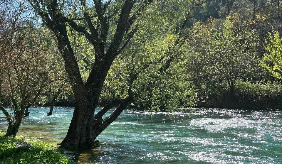 Nur 30 Minuten von Wien: Entdeckt diesen idyllischen Badeplatz direkt am Fluss neben einem Schloss, was an eine Filmkulisse erinnert