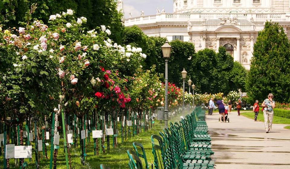 In the heart of Vienna, a 5-hectare sea of blossoms made up of over 3,000 rose bushes has been drawing visitors since 1823; you can even sponsor your own rose bush here