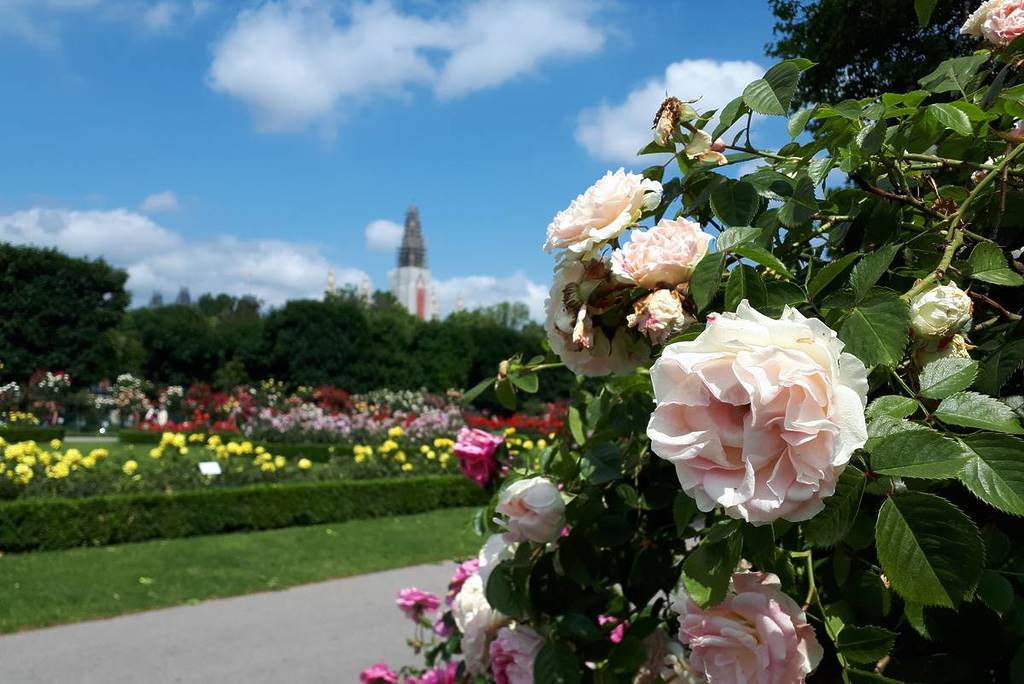 Der Wiener Volksgarten