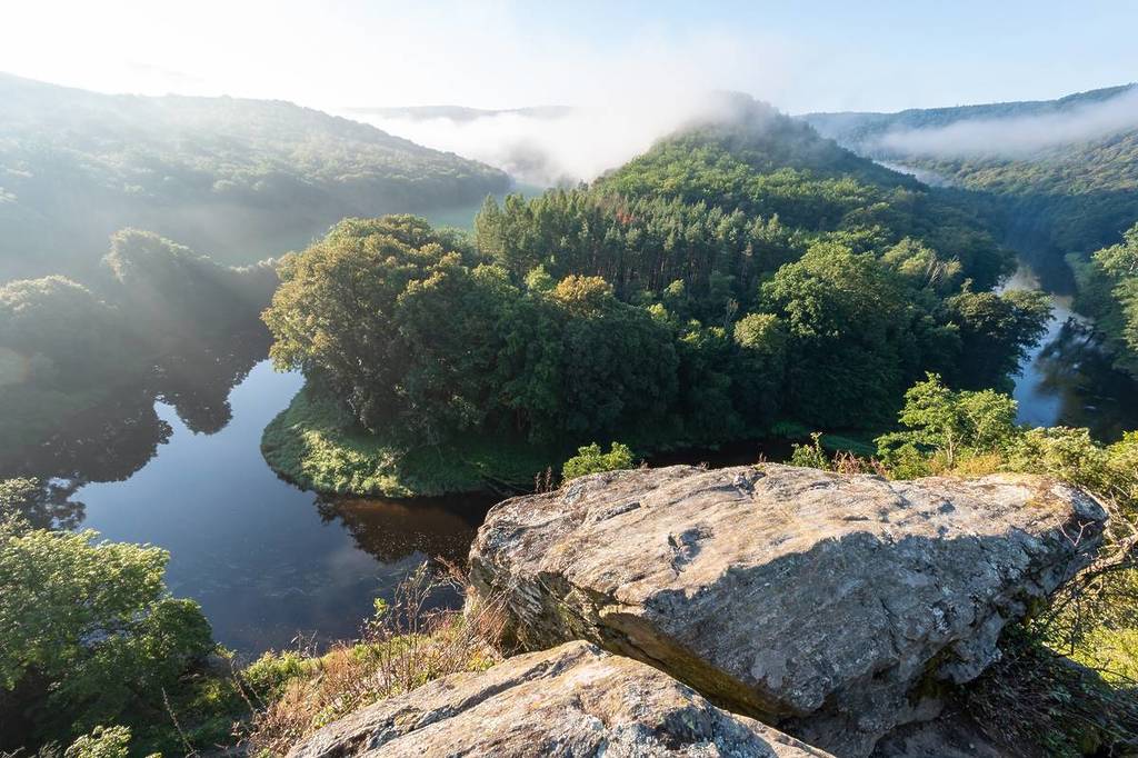 Just 1 hour from Vienna: Discover a 63 km² natural paradise with deep gorges, rare animals, and unspoiled river landscapes—perfect for hiking