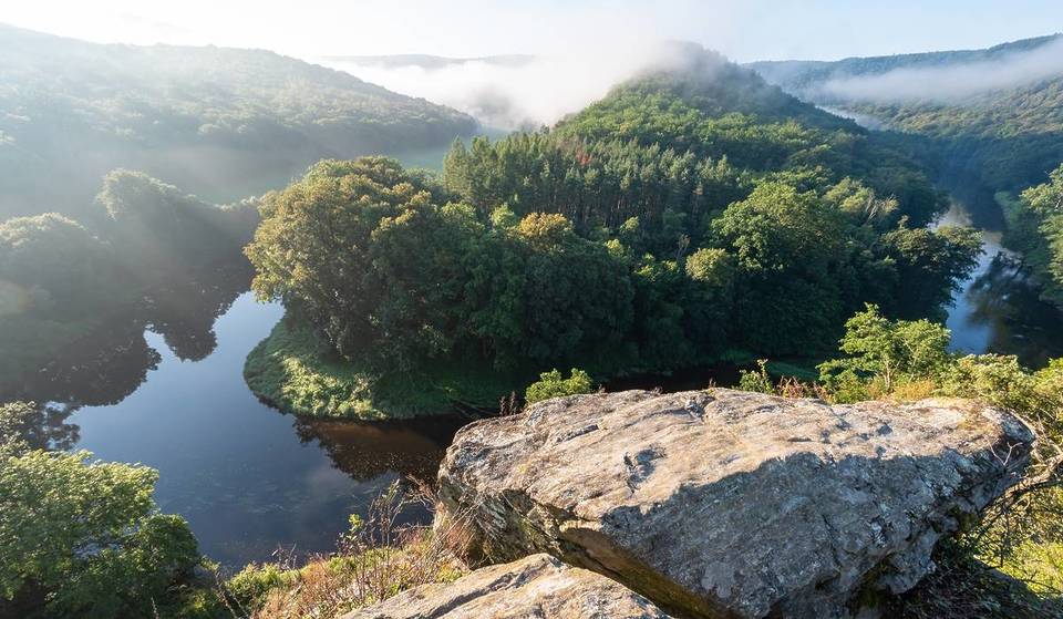 Nur 1 Stunde von Wien entfernt: Entdecke ein 63 km² großes Naturparadies mit tiefen Schluchten, seltenen Tieren und unberührter Flusslandschaft, perfekt zum Wandern