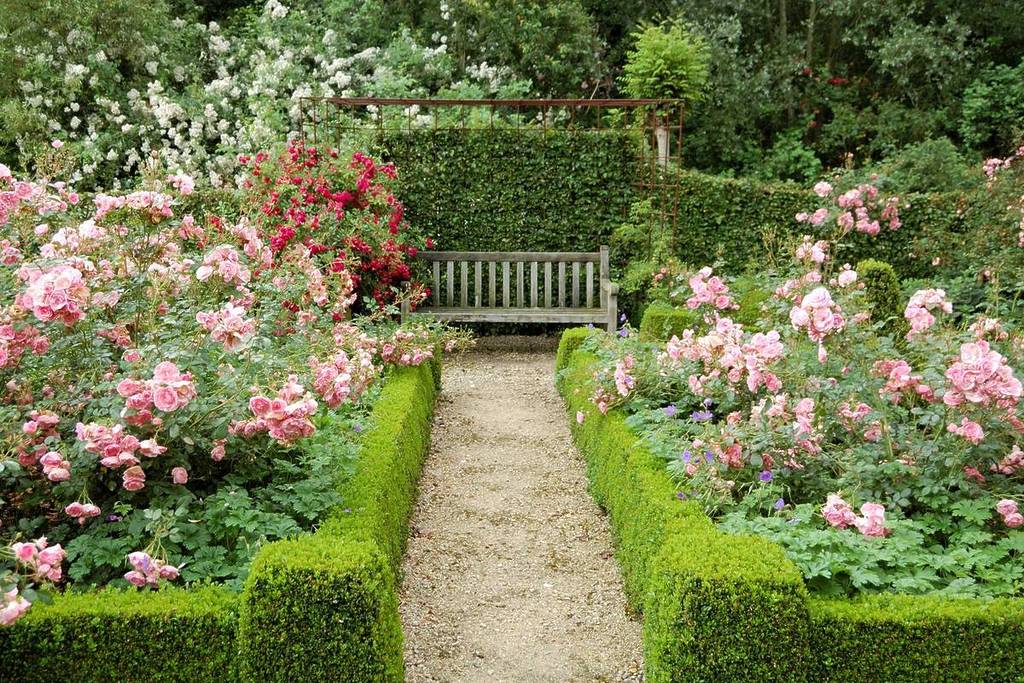 Just 30 minutes from Vienna: Discover over 25,000 blooms and more than 900 plant varieties in the country’s largest rose garden—be sure to visit now during peak bloom