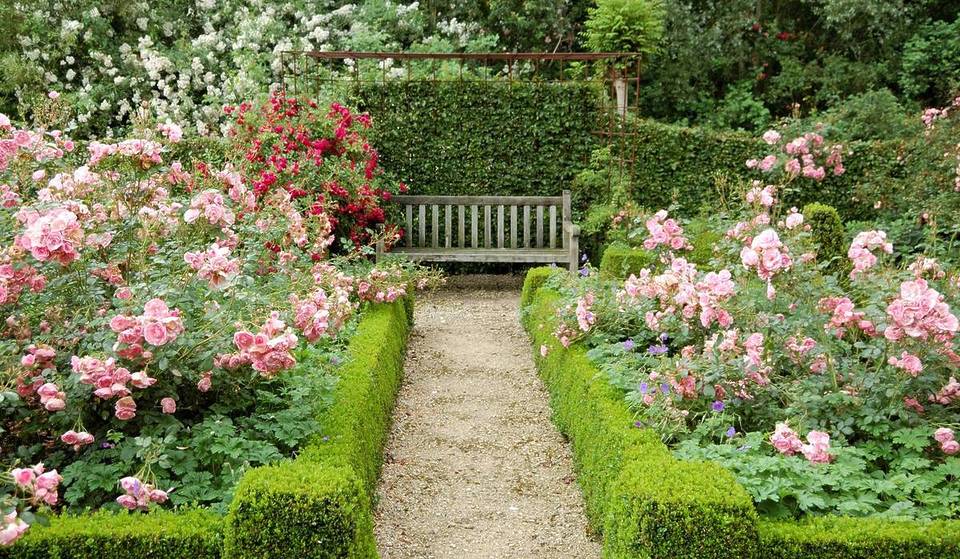 Nur 30 Minuten von Wien entfernt: Entdecke über 25.000 Blüten und über 900 Pflanzensorten im größten Rosengarten des Landes jetzt unbedingt zur Hauptblüte