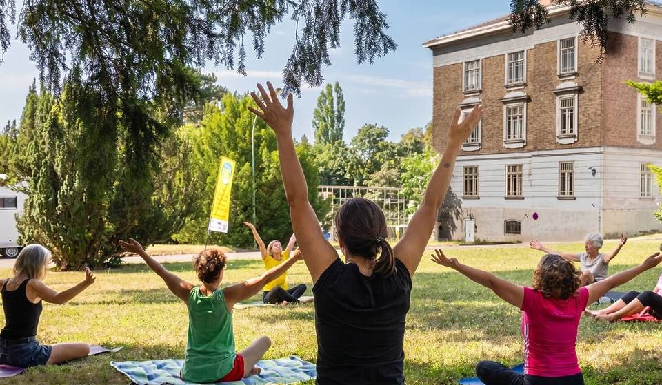 Am Rande von Wien finden in diesem Areal einige der entspanntesten Yoga-Classes der Stadt statt – und das völlig kostenlos und unter freiem Himmel