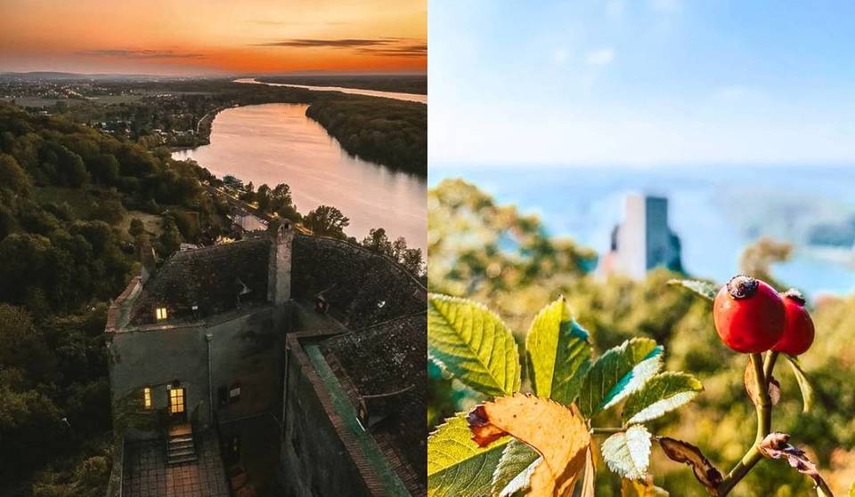 Hike just 30 minutes from Vienna to the medieval castle at the northernmost point of the Alps in the Vienna Woods Biosphere Reserve