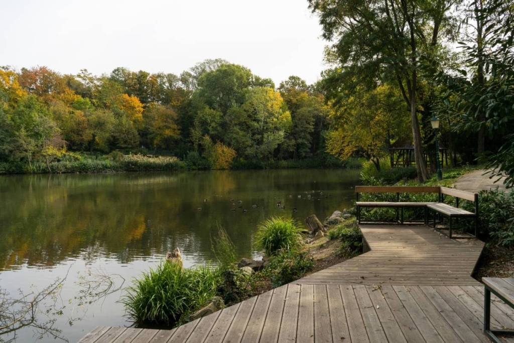 “It’s like traditional Japan”—Just 30 minutes from Vienna lies a 60-hectare recreational area with real alpacas, over 2,400 roses, and water lilies in 9 ponds
