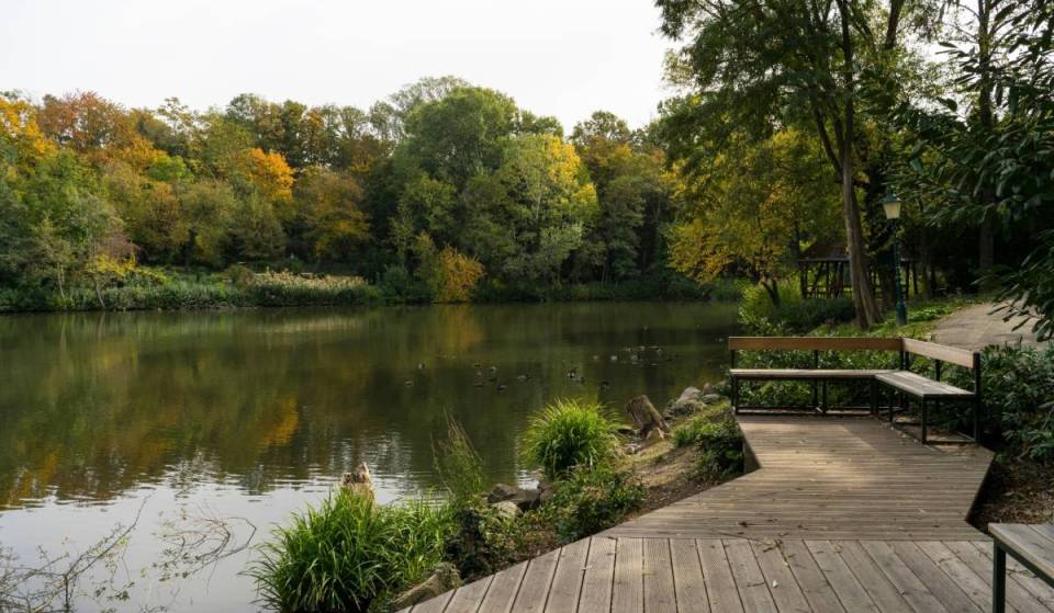 “It’s like traditional Japan”—Just 30 minutes from Vienna lies a 60-hectare recreational area with real alpacas, over 2,400 roses, and water lilies in 9 ponds