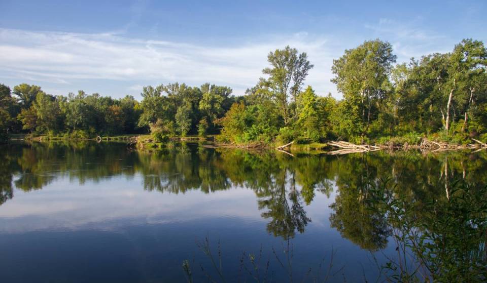 „Es ist wie in Schweden“ – Nur 30 Minuten von Wien entfernt könnt ihr den ruhigsten Naturbadeplatz im Grünen für den Sommer entdecken inklusive 5 Kilometer langem Rundweg