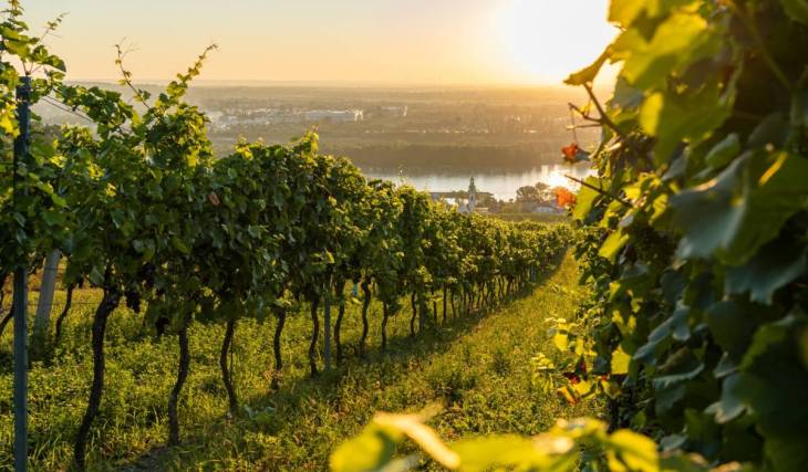 Direkt vor den Toren von Wien zu schönster historischer Wanderung des Sommer zwei Tage durch kühlende alpine Gebirgslandschaften und sanfte Weinberge
