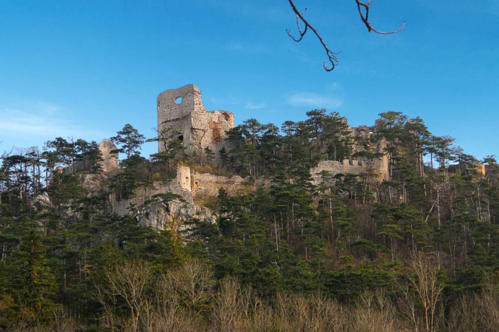 ie historischen, steinernen Überreste der Burgruine Emmerberg, die von dichten Nadelbäumen umgeben an einem steilen Hang unter einem strahlend blauen Himmel liegt.