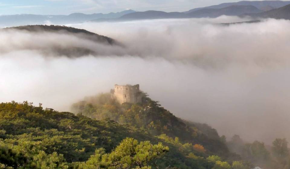 Just one hour from Vienna, in the shadow of an ancient ruin, you’ll find the secluded valley where dinosaur bones were discovered 177 years ago