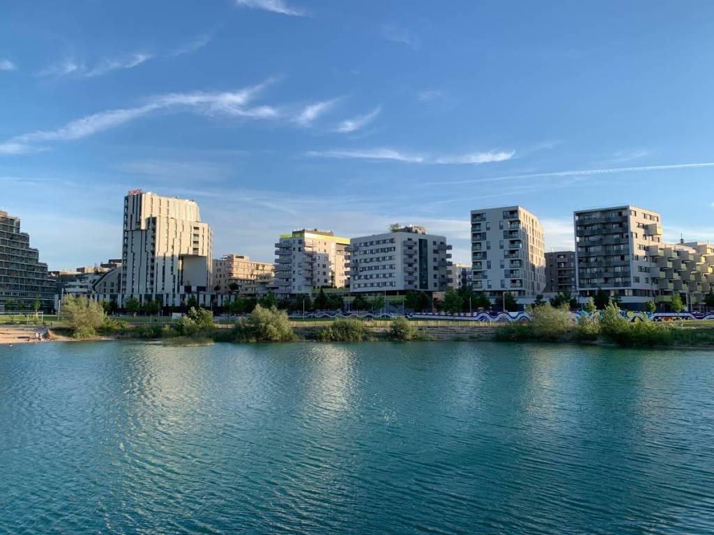 Badespaß für Hunde im Asperner See