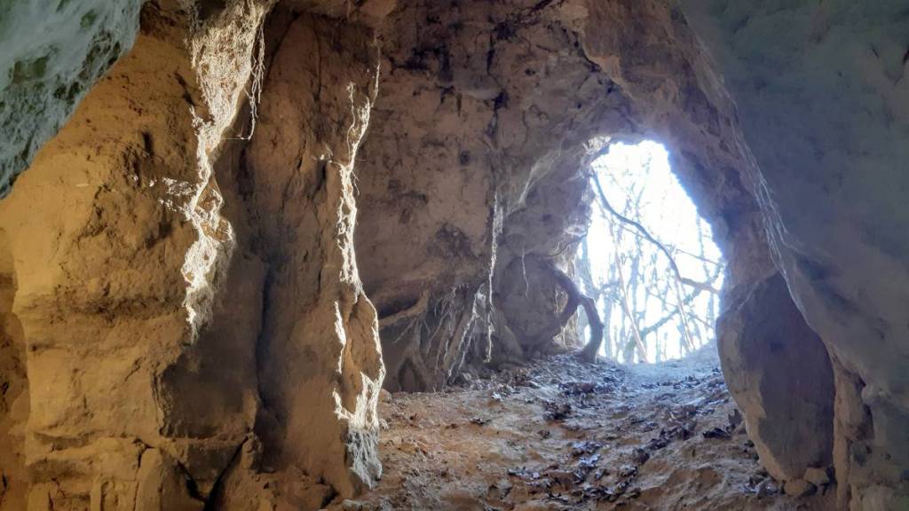 The Swedish Caves in the Rohrwald