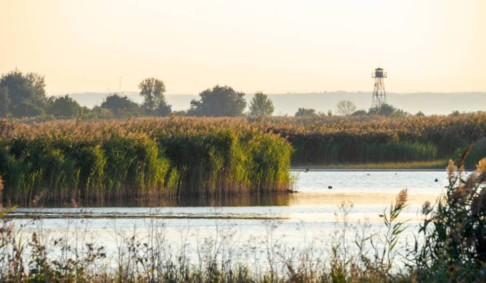 Dieses UNESCO-Welterbe liegt knapp 1,5 Fahrstunden von Wien entfernt und ist mit seinen rund 300 Vogelarten ein echtes Naturwunder direkt hinter der ungarischen Grenze