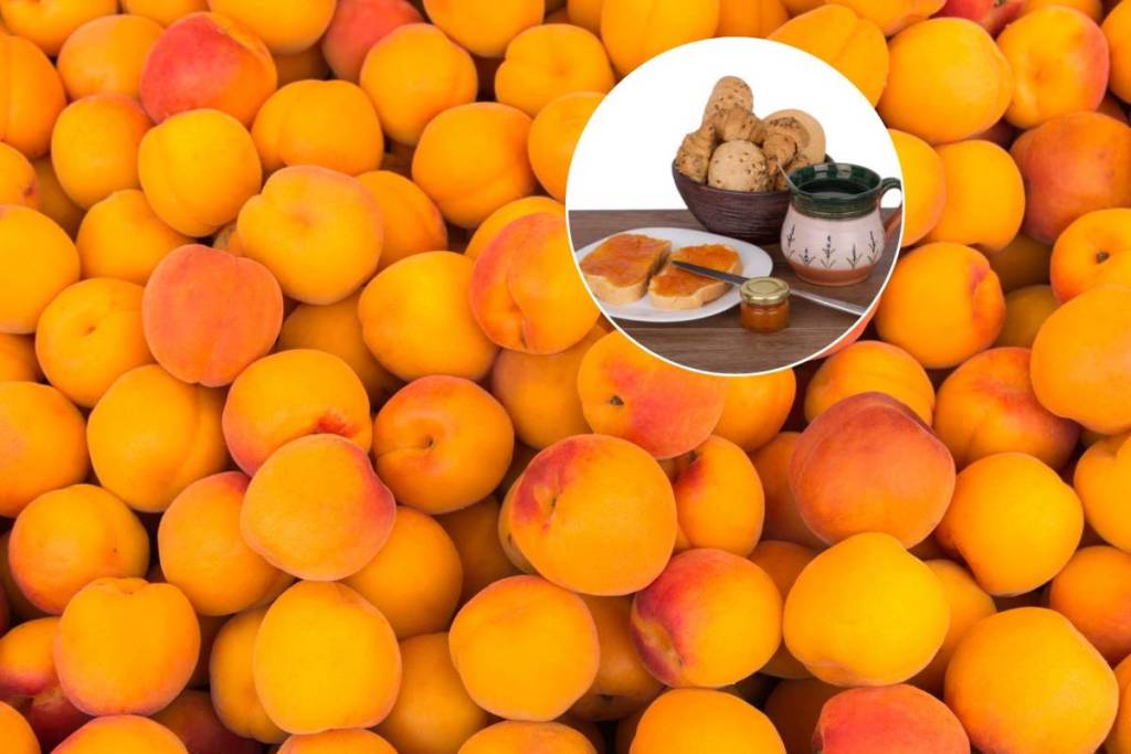 Just 45 minutes from Vienna, this apricot farm in the Weinviertel region is currently serving a lavish summer buffet among 23,000 fruit trees and 2,000 free-range chickens, including a tractor ride and a tour of the farm.