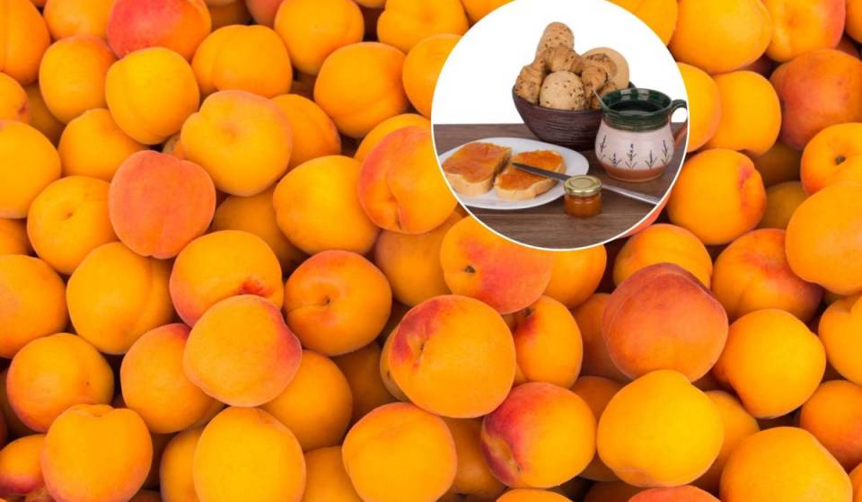 Just 45 minutes from Vienna, this apricot farm in the Weinviertel region is currently serving a lavish summer buffet among 23,000 fruit trees and 2,000 free-range chickens, including a tractor ride and a tour of the farm.