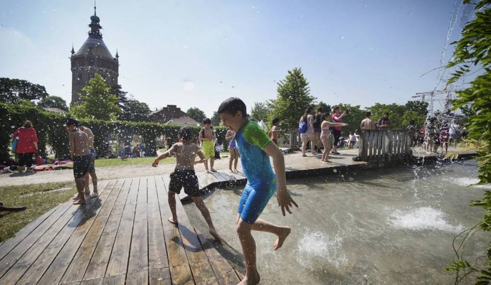 Mitten in Wien liegt ein kostenloser Wasserspielplatz mit künstlichem Wasserfall, Seilfähren und sogar wild lebenden Feldhamstern! Er bietet Spaß und Erholung für die ganze Familie.