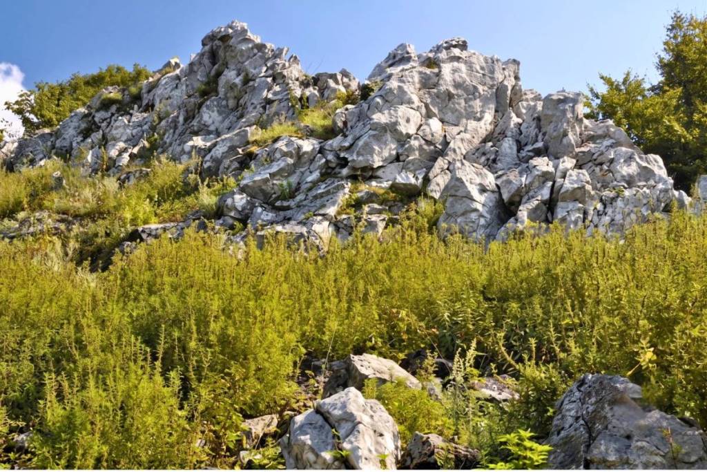 Nur rund 1 Stunde von Wien entfernt findet ihr ein verstecktes Naturparadies. Gleich hinter der Grenze warten romantische Wanderwege und tolle Aussichten