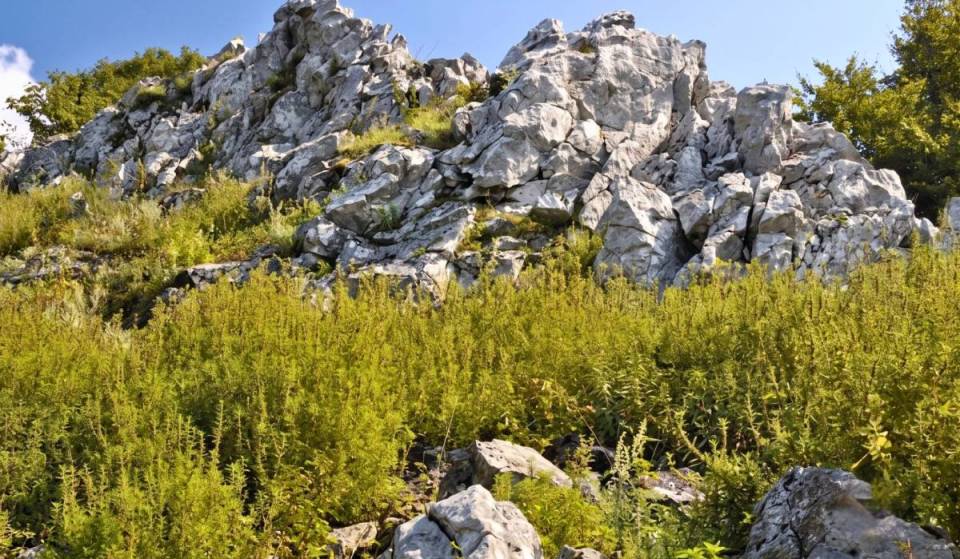 Nur rund 1 Stunde von Wien entfernt findet ihr ein verstecktes Naturparadies. Gleich hinter der Grenze warten romantische Wanderwege und tolle Aussichten