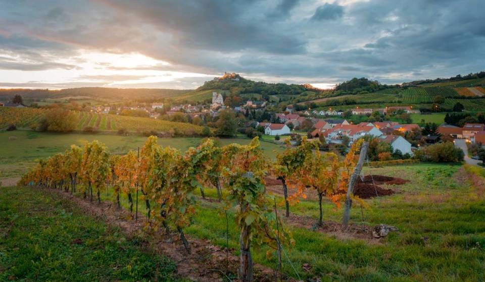 Dieses romantische Geheimtipp-Dorf in Niederösterreich bezaubert mit einer Burgruine aus dem 11. Jahrhundert — und Weinbau seit 1309